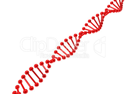 dna structure over white