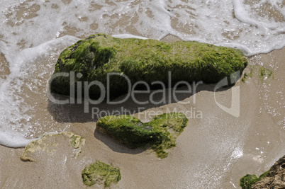 Stein am Strand