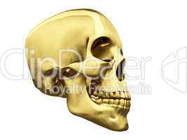 Gold skull over white