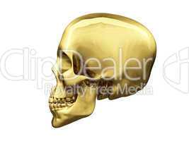 Gold skull over white