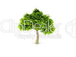 lone green tree isolated on white