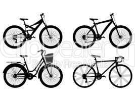 Set of bicycles on a white background
