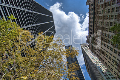 Skyscrapers of New York City