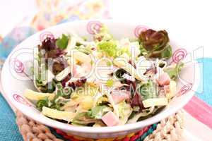 frischer salat (S.Bogdanski)