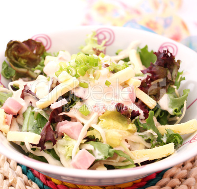 gemischter salat (S.Bogdanski)