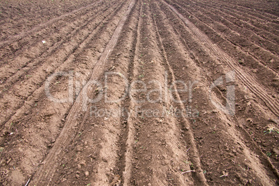 Ploughed field