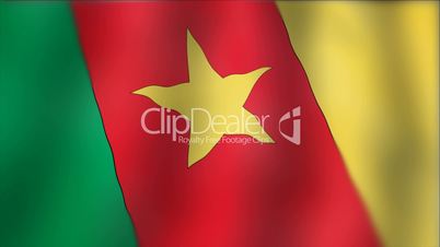 Cameroon - waving flag detail