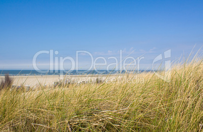 Idyllischer Tag an der Nordsee im Sommer