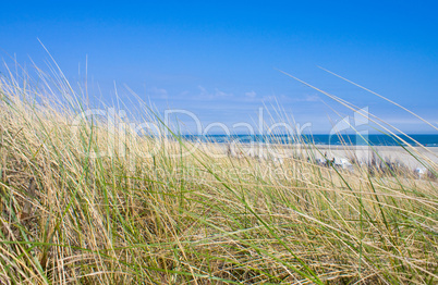 Idyllischer Tag an der Nordsee im Sommer