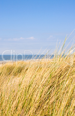 Idyllischer Tag an der Nordsee im Sommer