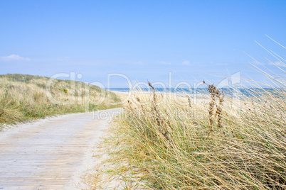 Idyllischer Tag an der Nordsee im Sommer