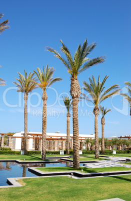Palm trees at hotel entrance, Crete, Greece