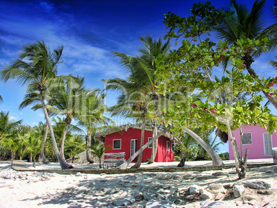 Small and Coloured Homes on the Coast of Santo Domingo