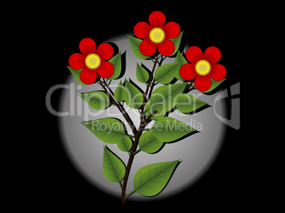 Red flowers on a black background