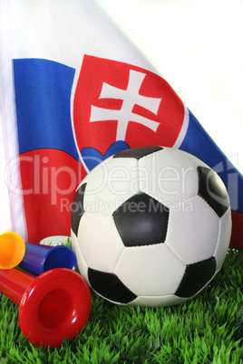 Fußball-WM 2010