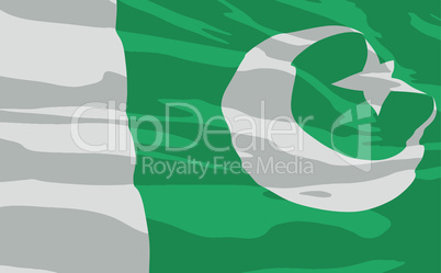 Vector flag of Pakistan