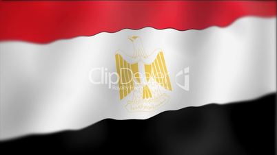 Egypt - waving flag detail
