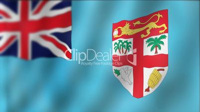 Fiji - waving flag detail