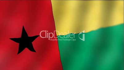 Guinea - waving flag detail