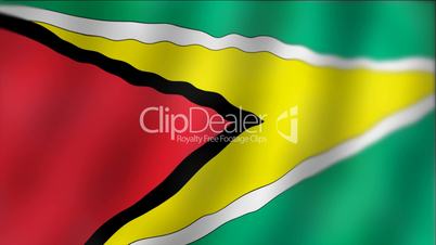 Guyana - waving flag detail