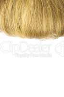 Hair on a white background