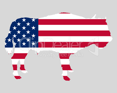 USA Fahne mit Bison
