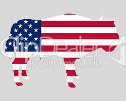 USA Fahne mit Bison