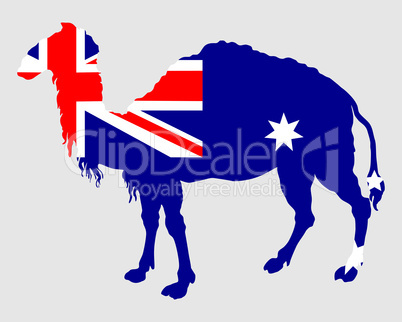 Nationalflagge von Australien mit Kamel