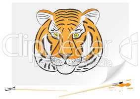Drawing tiger