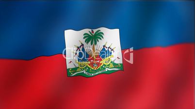 Haiti - waving flag detail