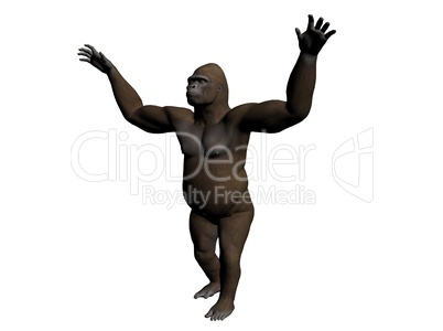 Gorilla Gorilla