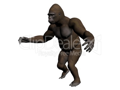 Gorilla