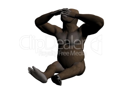 Gorilla Gorilla