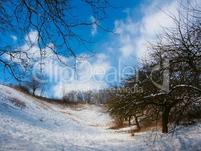 Snowy Landscape