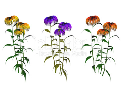 Plants Plants