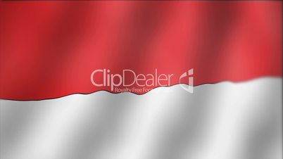 Indonesia - waving flag detail