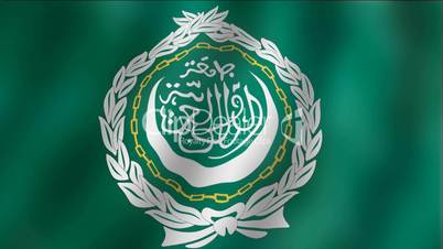 Arab League - waving flag detail