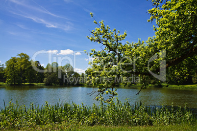 Landschaft auf Rügen