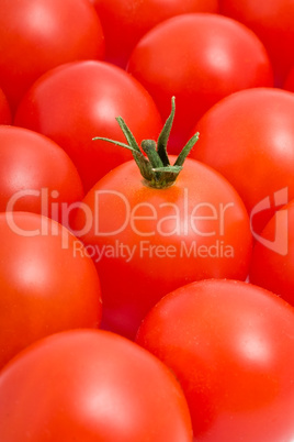 Tomatos