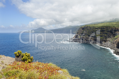 Landscape in Faial, Azores