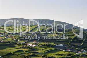 Hedge landscape of Faial, Azores