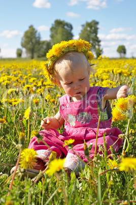 little girl on dandelion meadow