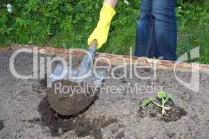 garden work