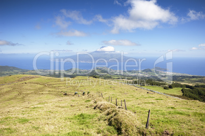 Landscape in Faial, Azores