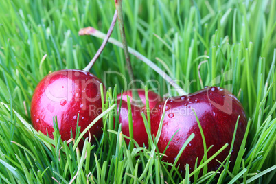 Red cherries