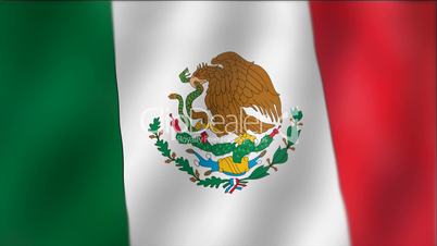 Mexico - waving flag detail