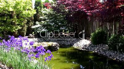 Colourful corner of Japanese Garden.