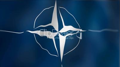 NATO - waving flag detail