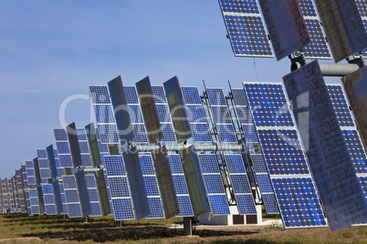 A Field of Green Energy Photovoltaic Solar Panels