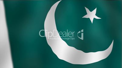 Pakistan - waving flag detail